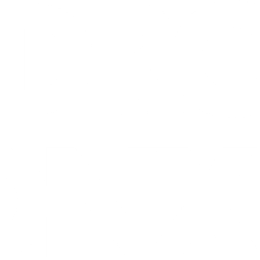 logo dronx