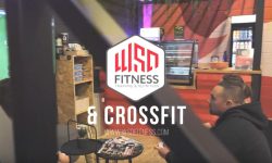 Logo WSD